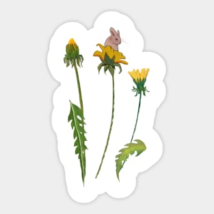 Dandelions Sticker